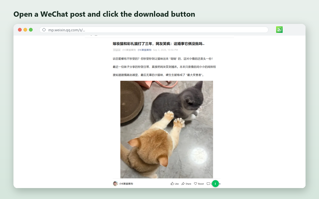 Download button beside the images on a WeChat post