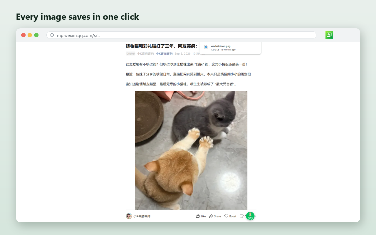 Downloading all images at once